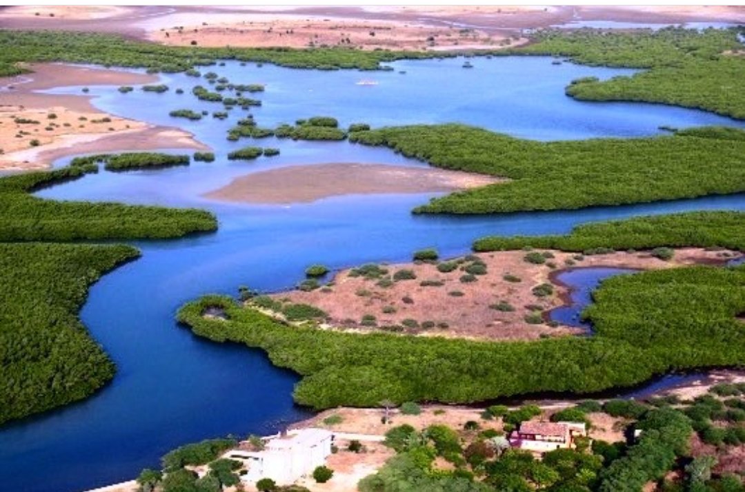 Somone : Nettoyage de la Lagune, en prÃ©lude Ã  la JournÃ©e mondiale des ocÃ©ans