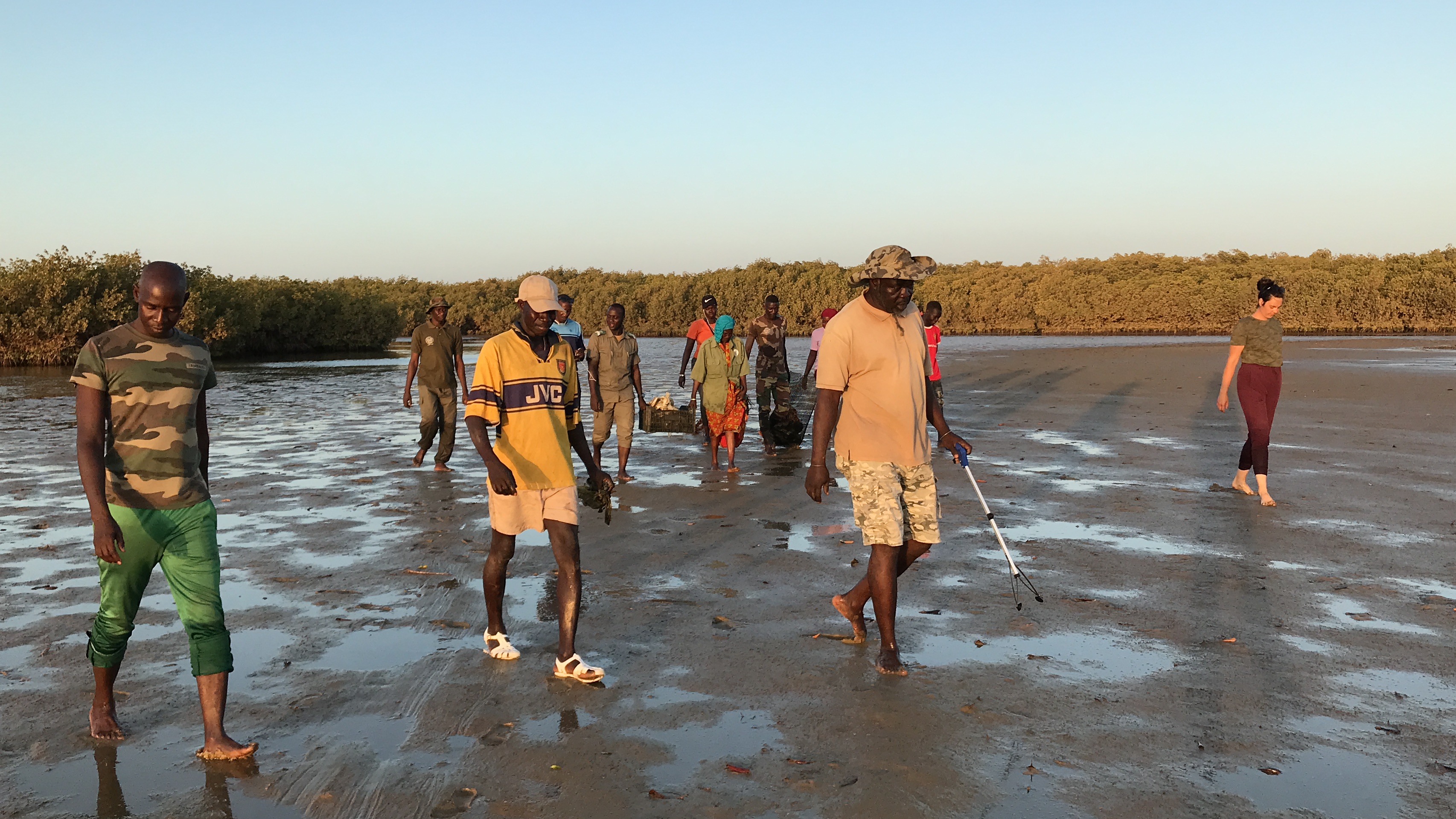 Environnement : Nettoyage des déchets plastique dans la lagune de somone