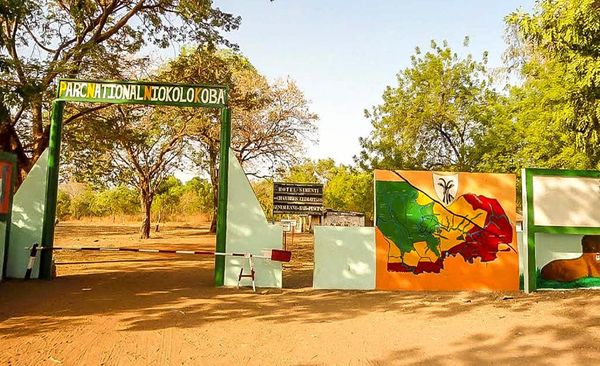 Le parc national du Niokolo  Koba | Un vÃ©ritable don de la nature