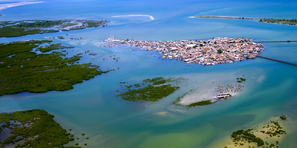 L'histoire d'une Approche locale de résilience des communautés et des écosystèmes de mangroves